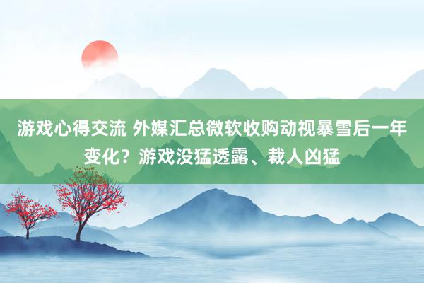 游戏心得交流 外媒汇总微软收购动视暴雪后一年变化？游戏没猛透露、裁人凶猛