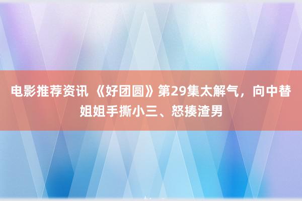 电影推荐资讯 《好团圆》第29集太解气，向中替姐姐手撕小三、怒揍渣男