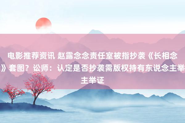 电影推荐资讯 赵露念念责任室被指抄袭《长相念念》套图？讼师：认定是否抄袭需版权持有东说念主举证