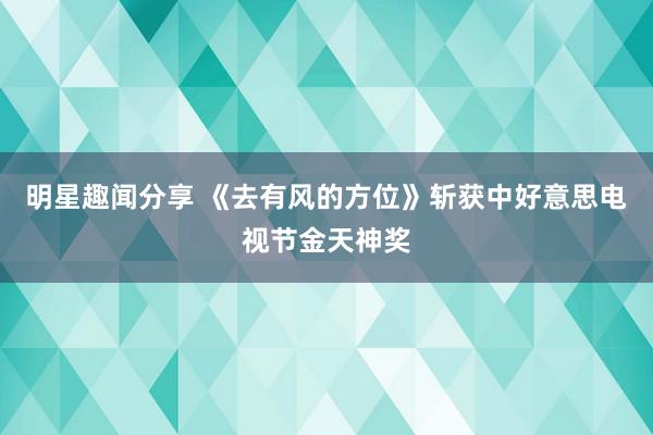 明星趣闻分享 《去有风的方位》斩获中好意思电视节金天神奖