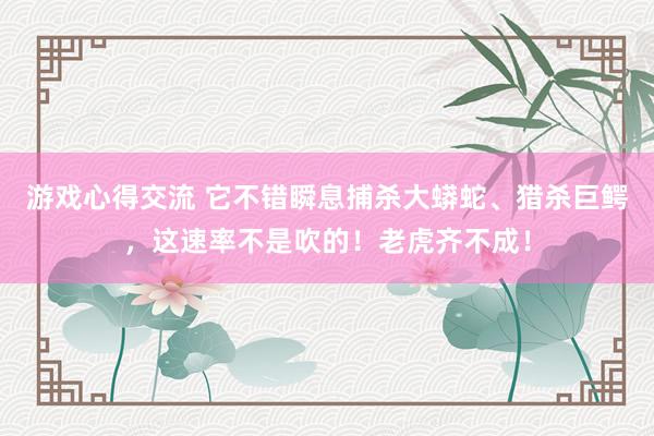 游戏心得交流 它不错瞬息捕杀大蟒蛇、猎杀巨鳄，这速率不是吹的！老虎齐不成！