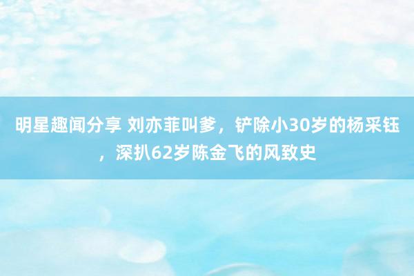 明星趣闻分享 刘亦菲叫爹，铲除小30岁的杨采钰，深扒62岁陈金飞的风致史