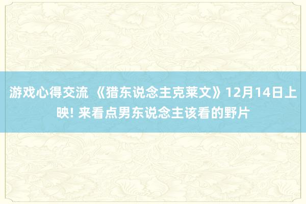 游戏心得交流 《猎东说念主克莱文》12月14日上映! 来看点男东说念主该看的野片