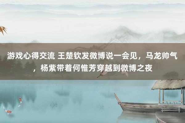 游戏心得交流 王楚钦发微博说一会见，马龙帅气，杨紫带着何惟芳穿越到微博之夜