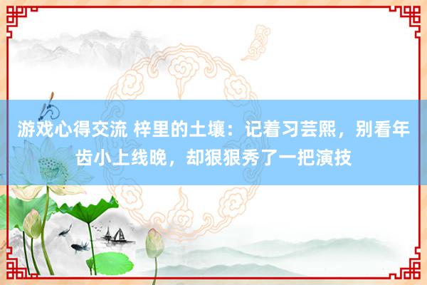 游戏心得交流 梓里的土壤：记着习芸熙，别看年齿小上线晚，却狠狠秀了一把演技