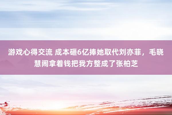 游戏心得交流 成本砸6亿捧她取代刘亦菲，毛晓慧闹拿着钱把我方整成了张柏芝